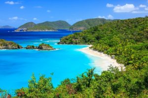 Trunk Bay St John VI