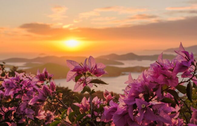 shutterstock_129513908